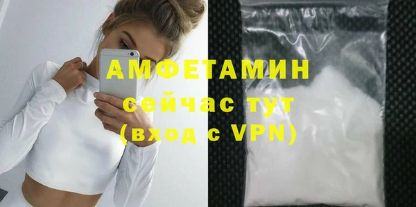 ECSTASY Богданович