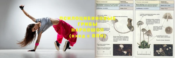 крисы Бугульма