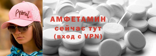 молекула духа Богородицк