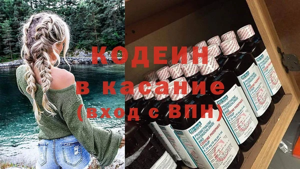 молекула духа Богородицк