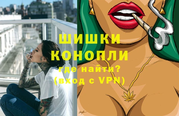 ECSTASY Богданович