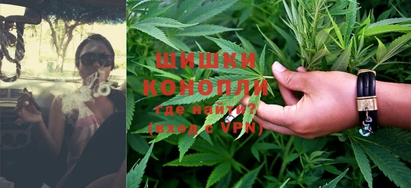 ПСИЛОЦИБИНОВЫЕ ГРИБЫ Богородск