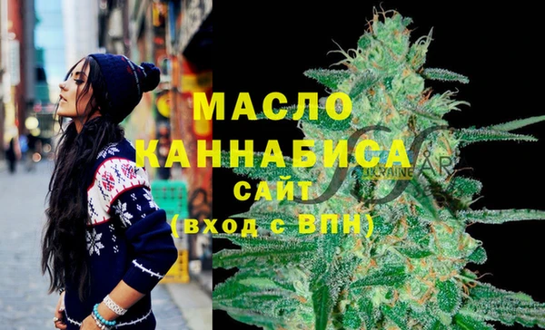 молекула духа Богородицк