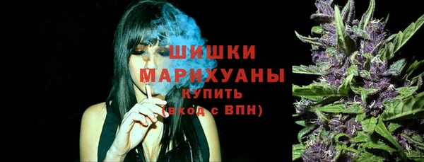 ECSTASY Богданович