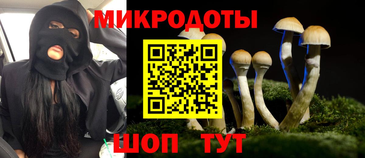 Галлюциногенные грибы Psilocybine cubensis Великий Устюг