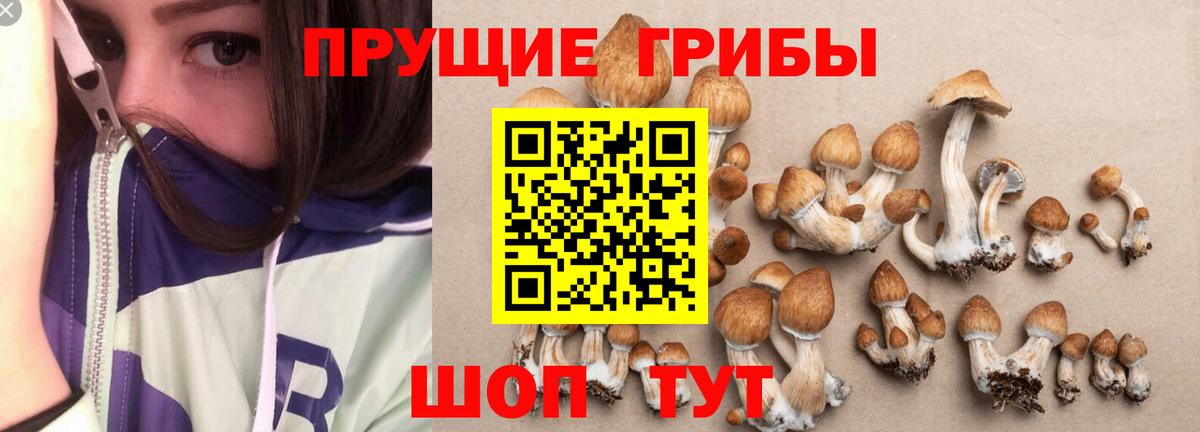 Великий Устюг  цены наркотик  Вход с VPN  Псилоцибиновые грибы мицелий 